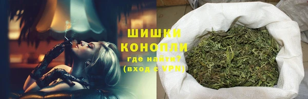 сатива Нефтекумск