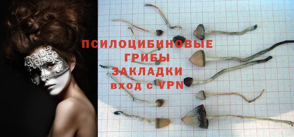 прущие крисы Нея