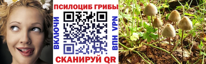 Псилоцибиновые грибы GOLDEN TEACHER  ОМГ ОМГ ТОР  Ханты-Мансийск  что такое  